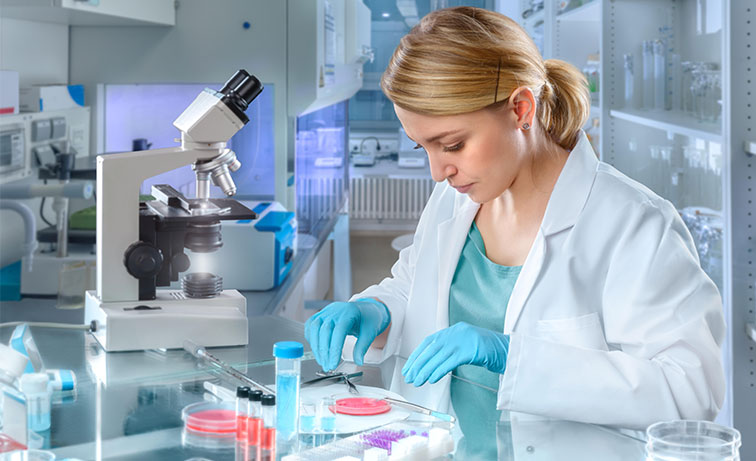 Placa de PCR em tempo real é um popular laboratório descartável consumível amplamente utilizado na aplicação relacionada à medicina, genética, imunidade, bioquímica